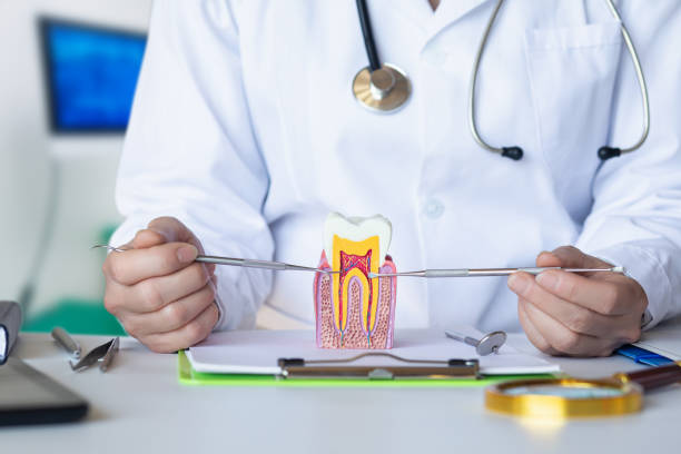 Best Cosmetic Emergency Dentistry in Marfa, TX